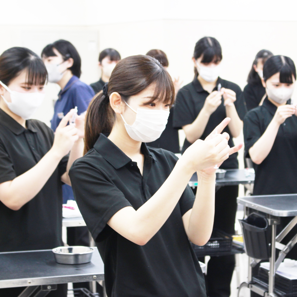 トリマー科2年生の看護実習